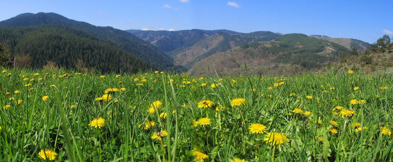 Yagodina Family Hotel 외부 사진